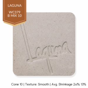 Laguna Clay WC-379 B Mix 10