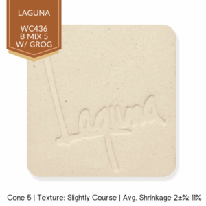 Laguna Clay WC-436 B Mix 5 with Grog